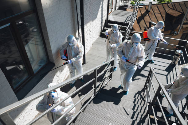 Best Airborne Mold Testing  in Jamesburg, NJ