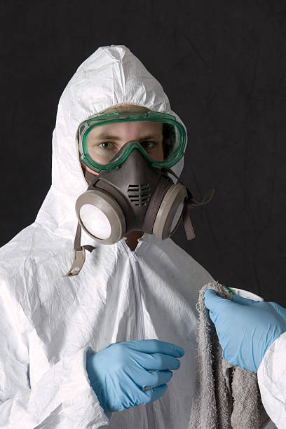 Best Mold Prevention Services  in Jamesburg, NJ